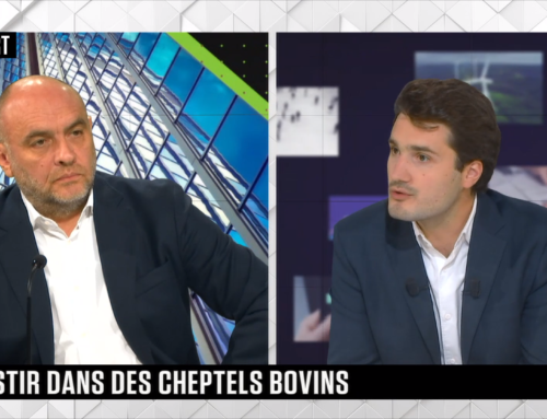 Une nouvelle mesure de défiscalisation pour les éleveurs bovins